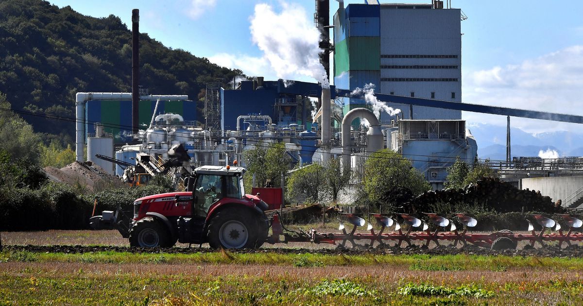 L'usine Fibre Excellence de Saint-Gaudens relance sa production malgré une incertitude grandissante