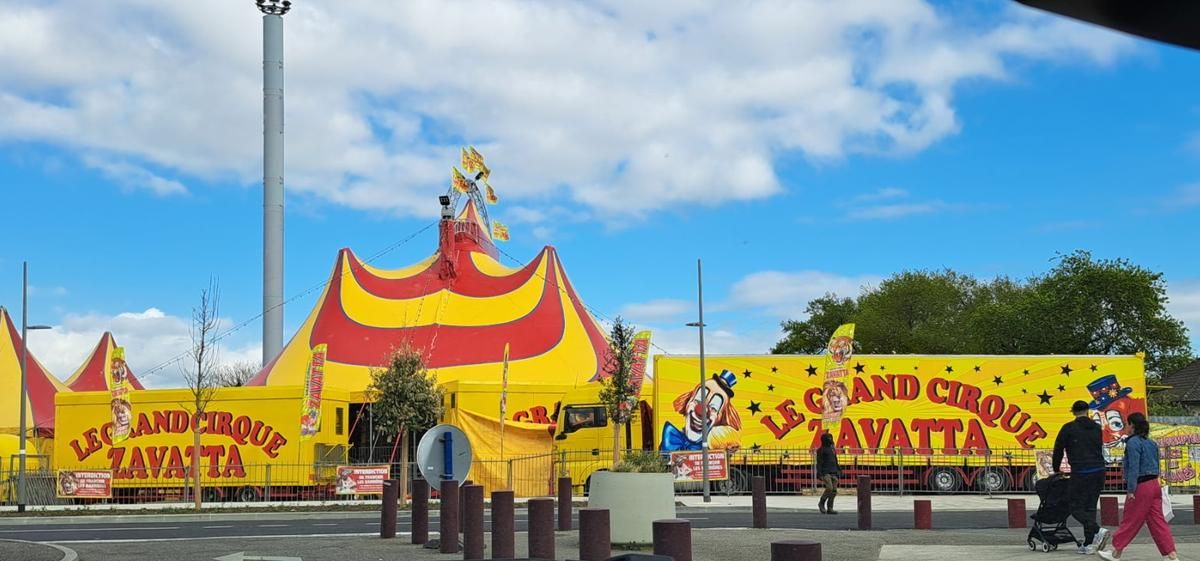 Le cirque Zavatta s'installe à Mérignac Soleil malgré la controverse