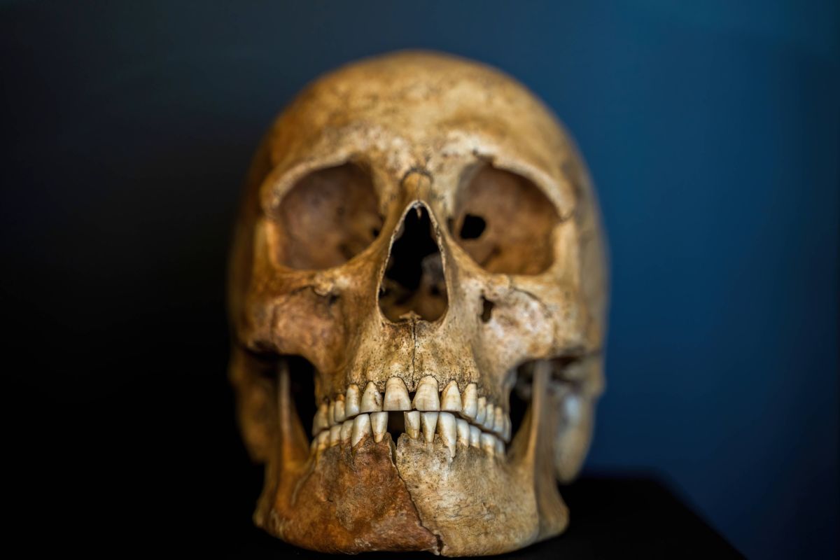 Archéologie : qu’est-ce que le Karlus-marxis, le nouvel hominidé découvert en France