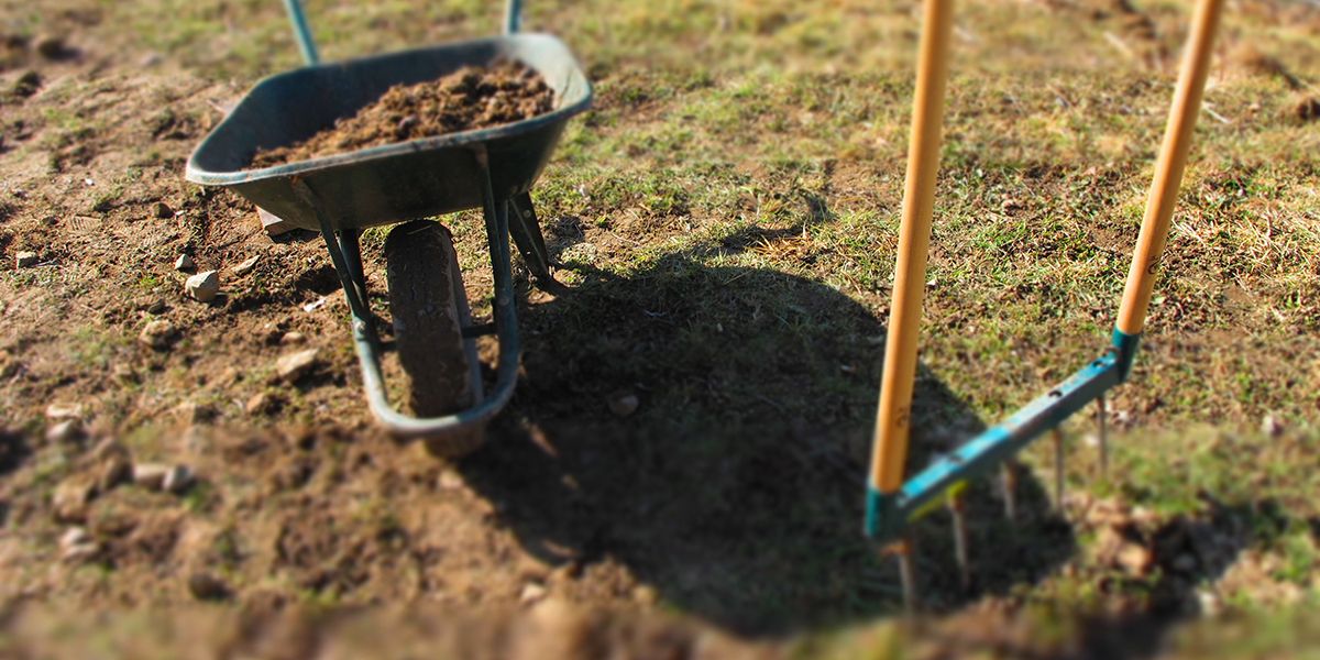 les raisons de ne pas retourner son jardin : une nouvelle approche