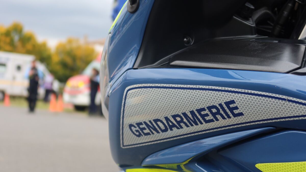 Une rave-party massive attire plus de 1 500 fêtards dans les Landes