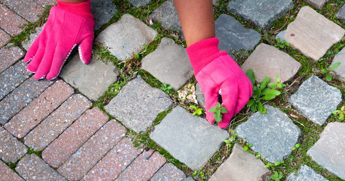 éliminez les mauvaises herbes de votre terrasse avec un désherbant naturel étonnant