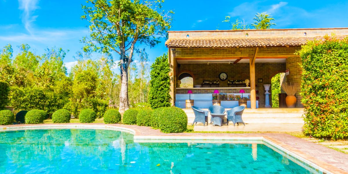 Aménager votre piscine : les plantes idéales pour un cadre enchanteur