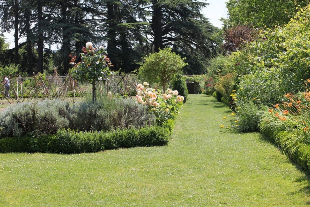 Choisir le gazon idéal pour votre jardin