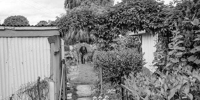 Les jardins ouvriers : un héritage vivant au service des familles