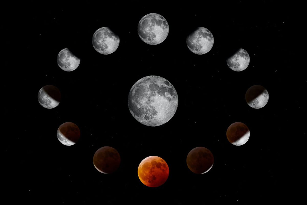 Calendrier lunaire 2023 : les dates pour jardiner selon l'astre sélène