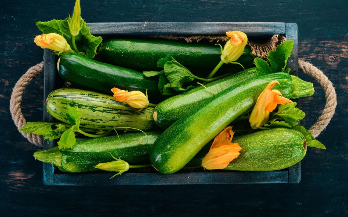 Comment réussir la culture des courgettes dans votre potager