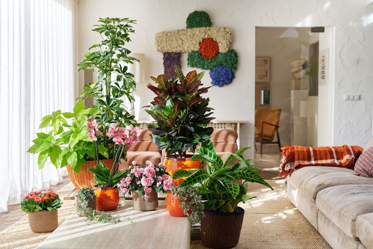 Dynamisez votre intérieur avec la tendance plantes du moment