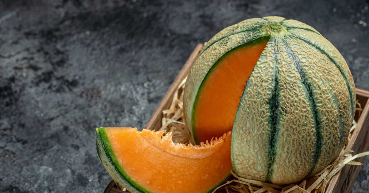 Le melon de Cavaillon, l'incontournable fruit estival