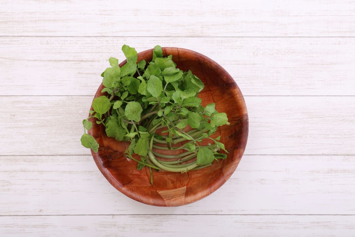 Découvrez le super-aliment méconnu qui révolutionne votre assiette