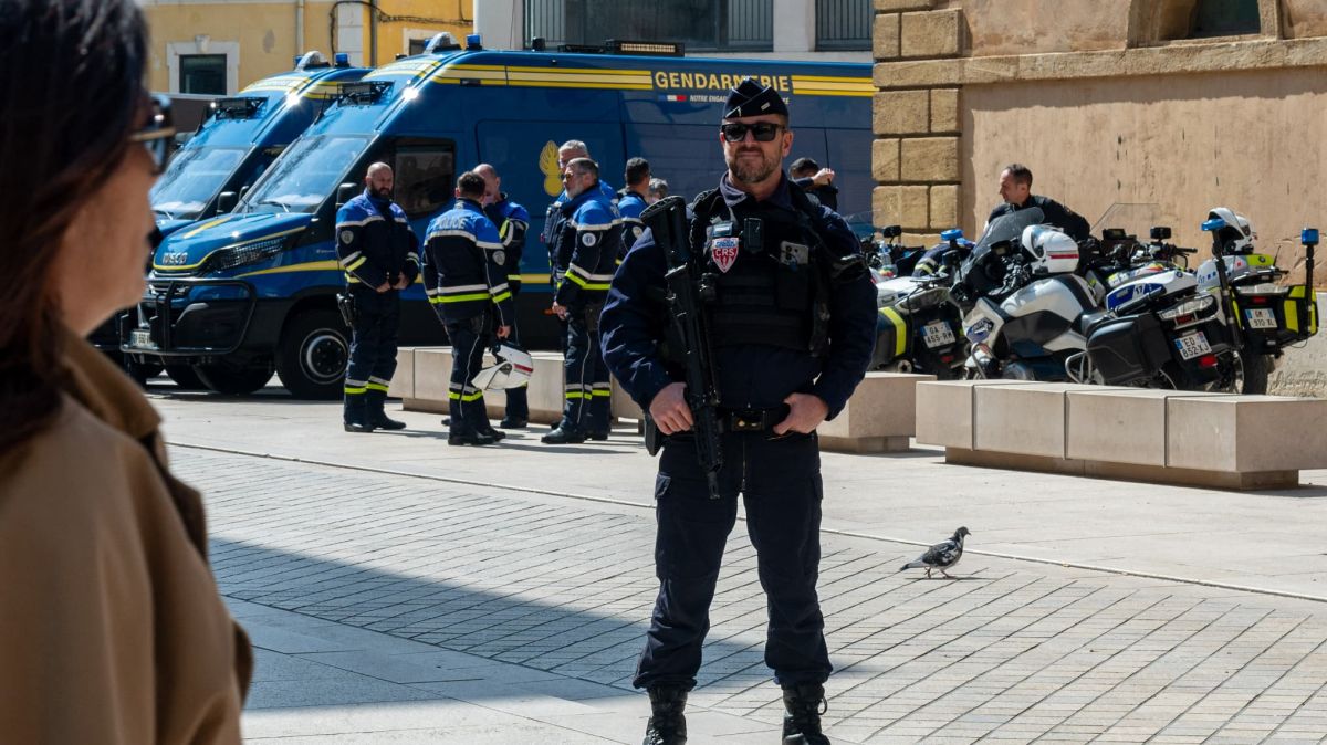 La DZ Mafia au tribunal : entre réquisitions et enjeux de société