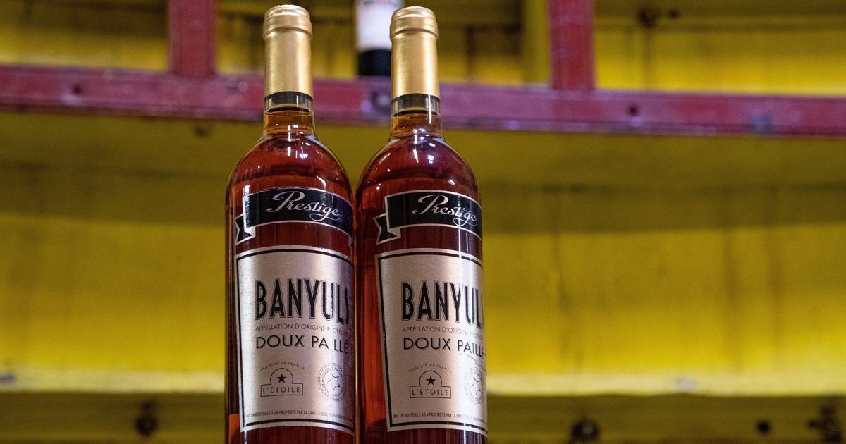 Des vins doux naturels vers l'insigne UNESCO : un projet collectif au coeur des Pyrénées-Orientales