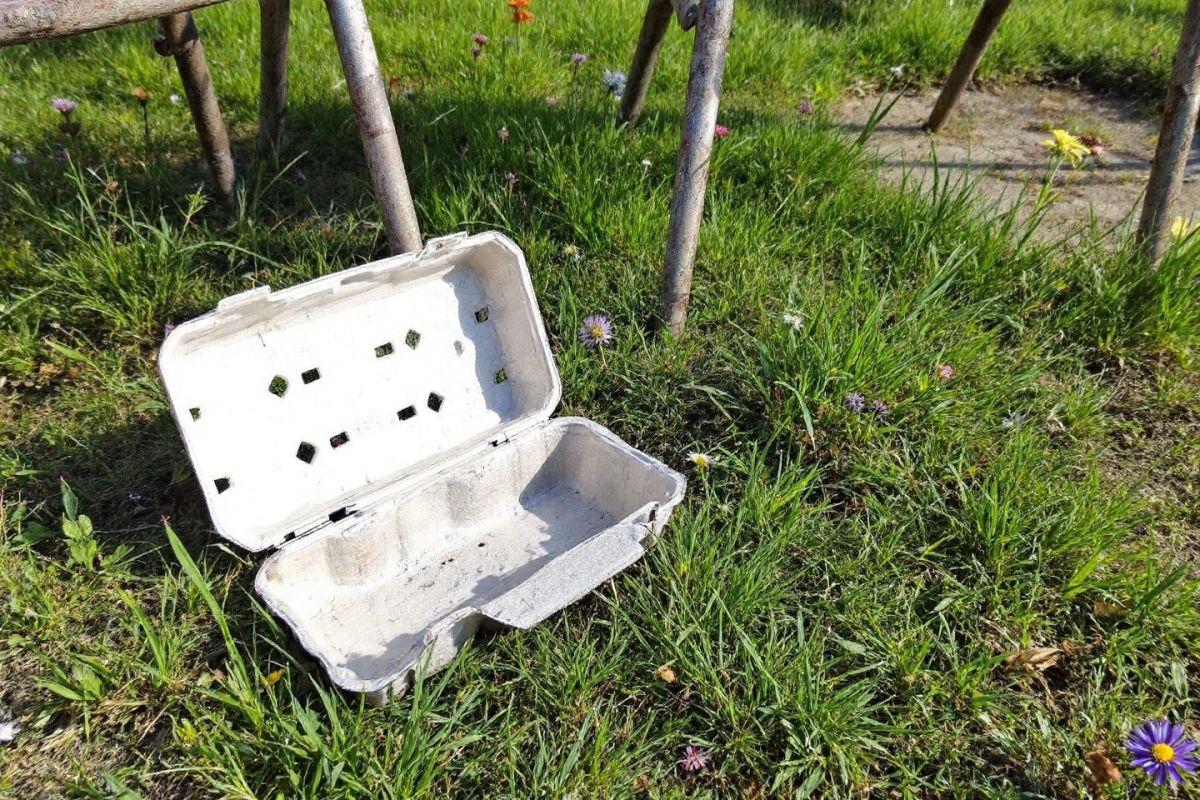 Transformez votre boîte d’œufs en arme secrète contre les limaces