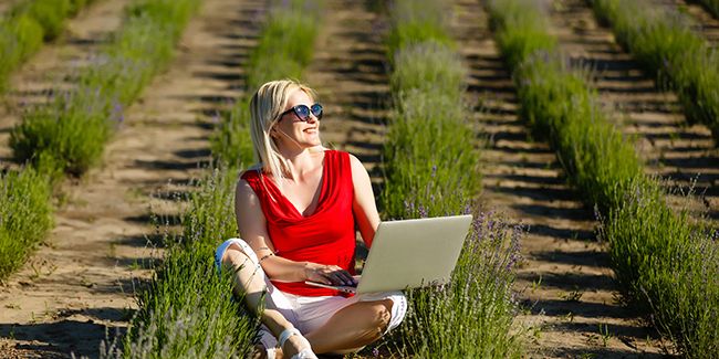 Acheter des plantes en ligne : la tendance qui séduit