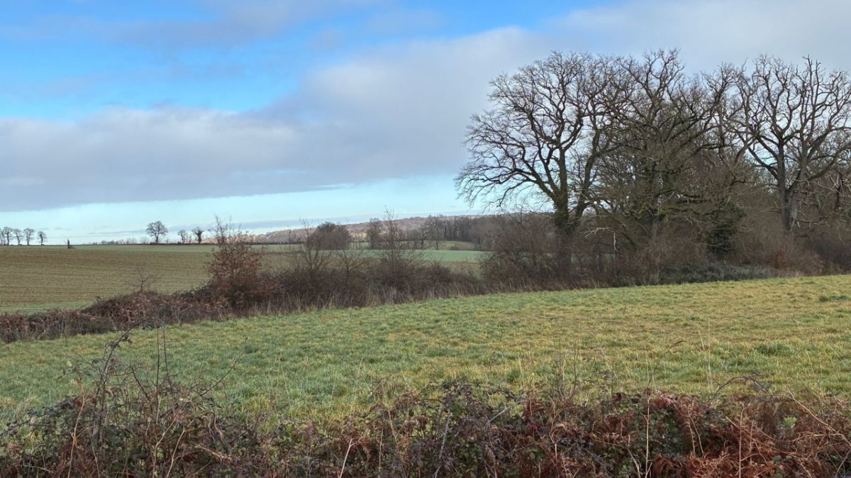 Des aides allant jusqu'à 10 000 € pour soutenir l'agriculture durable dans le Boischaut-sud