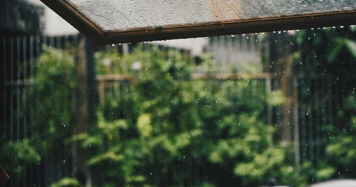 Optimisez votre collecte d'eau avec cet accessoire à petit prix