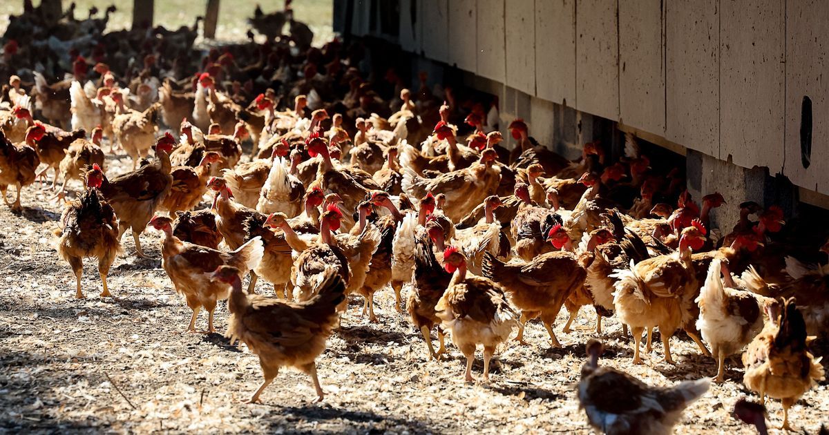 L'ambition locale : une agriculture autonome en Bourgogne-Franche-Comté