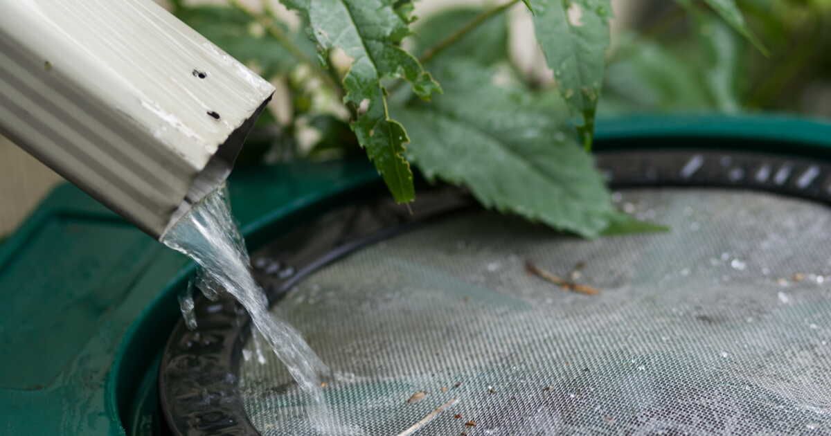 Comment choisir un récupérateur d’eau de pluie ?