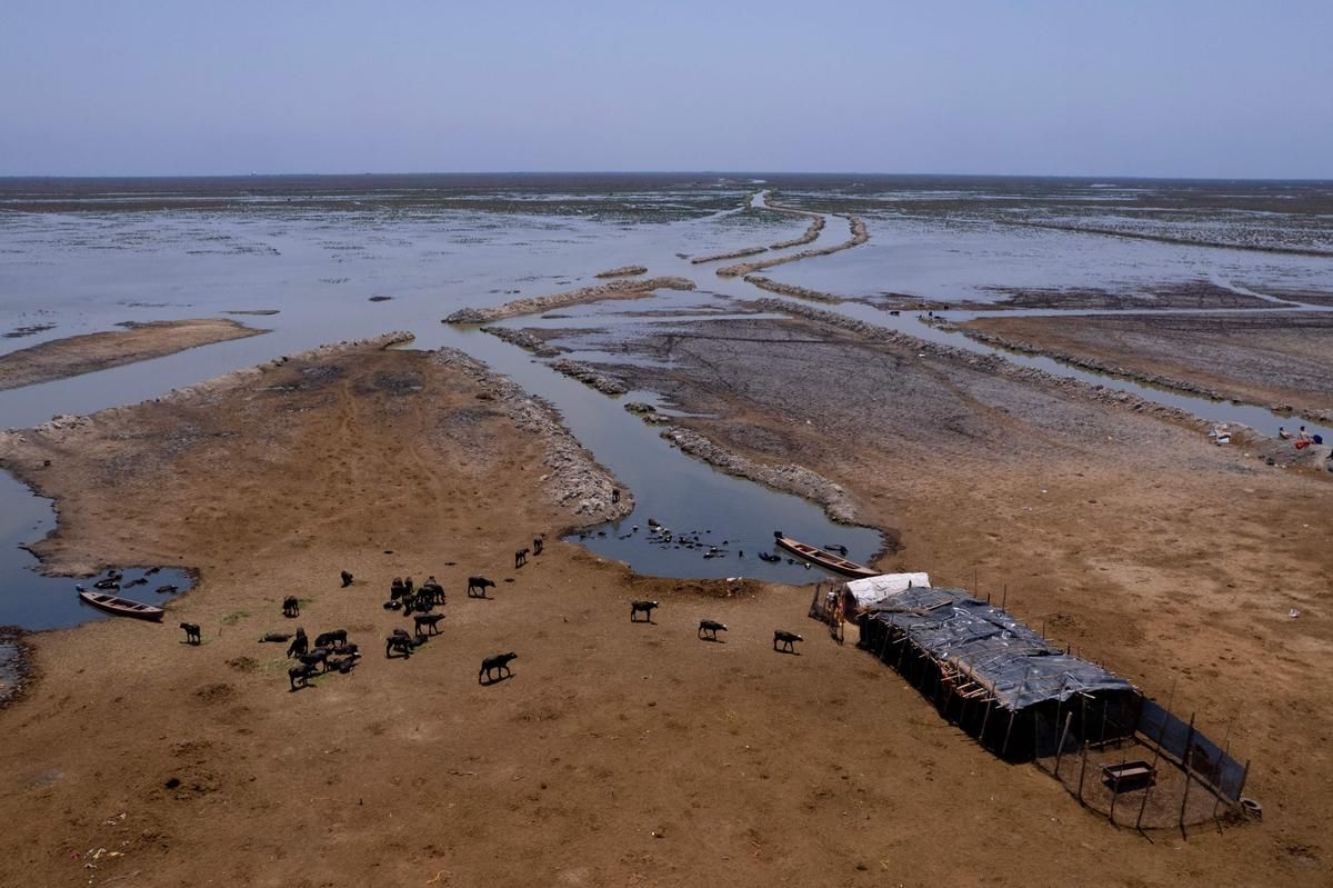 Asie face à un super El Niño : un défi pour l'énergie et l'agriculture