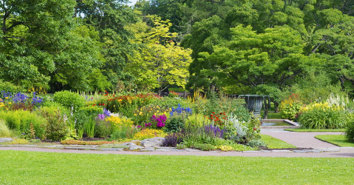 Les jardins célèbrent la nature : plongez dans la verdure!