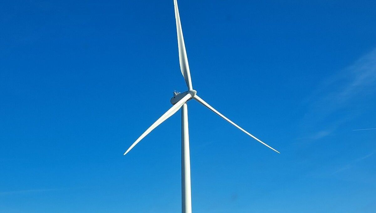 Annulation d'un projet éolien à Congrier : un choix environnemental