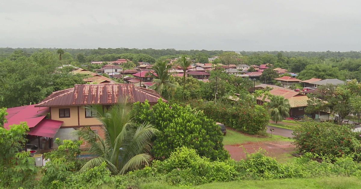 Cacao, le village Hmong qui pérennise traditions et saveurs au cœur de la Guyane