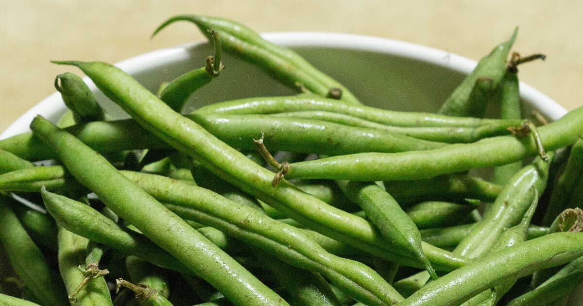 Explorez ces 4 salades d'été rafraîchissantes aux haricots verts