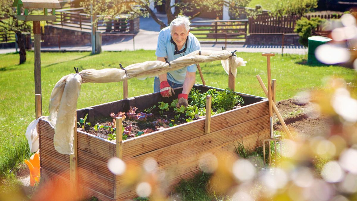 Vendre les légumes de son jardin : ce que dit la loi