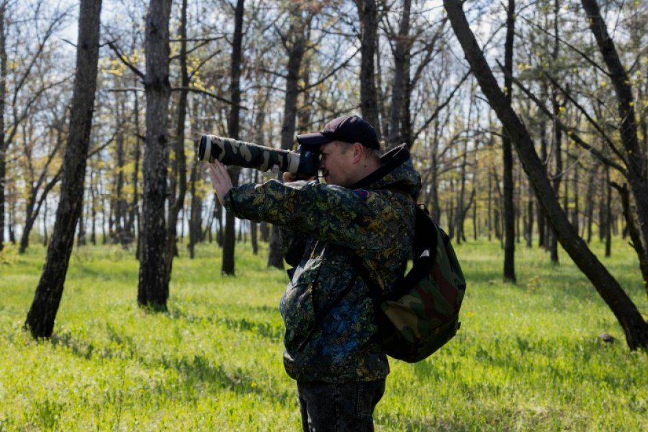Les oiseaux en Ukraine : entre beauté fragile et destruction tragique