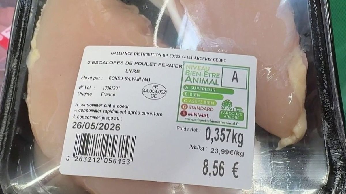Les marges de la grande distribution : entre abus et réalités