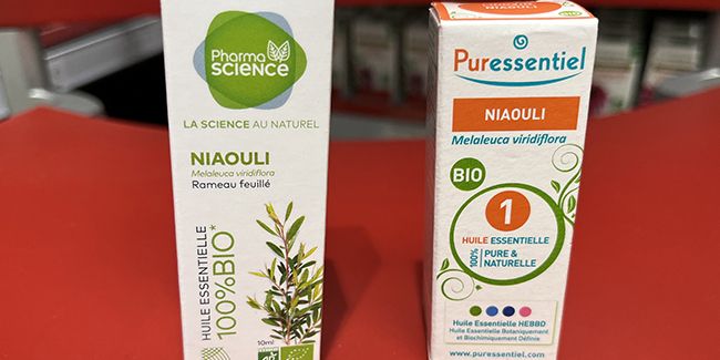 Découvrez les bienfaits du niaouli pour une hiver en pleine forme