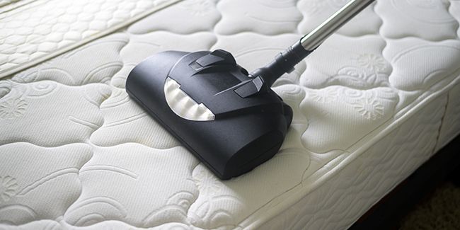 Acariens : détecter et éliminer ces envahisseurs invisibles de votre chambre