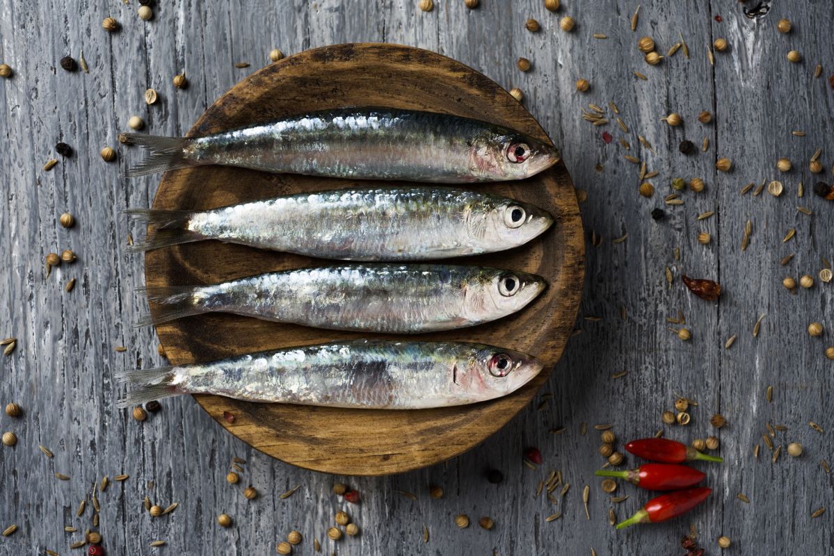 La sardine, un trésor nutritionnel à découvrir
