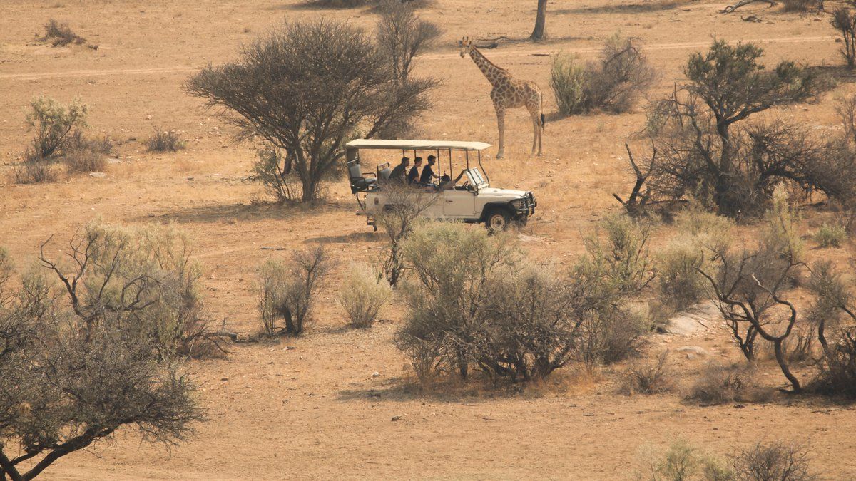 L'angoissante fin d'un safari : le couple retrouvé sans vie dans le parc Kruger