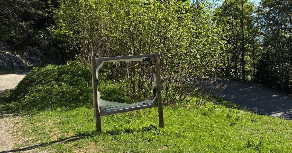 Vandalisme au Charmant Som : le mystère des pancartes disparues