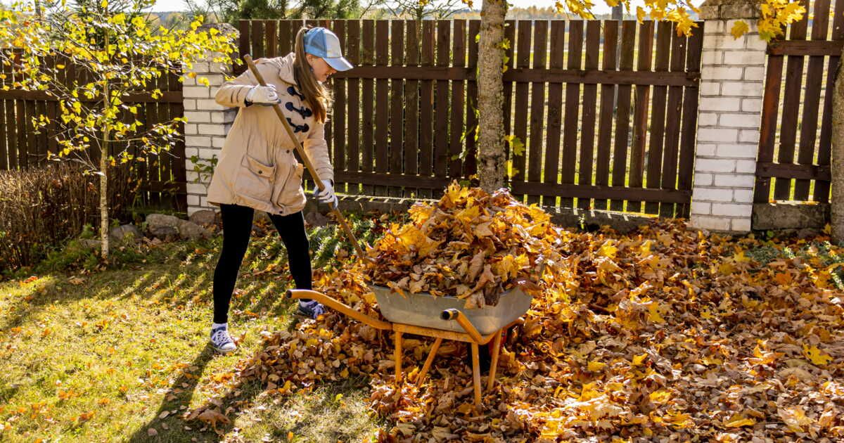 Ne soyez pas trop pressé de nettoyer votre jardin cet hiver