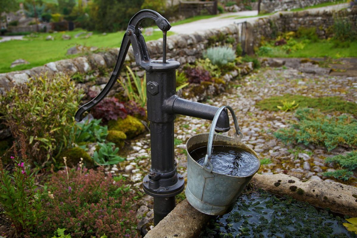 Quand la pluie devient alliée : le jardinage écolo selon un paysagiste innovant