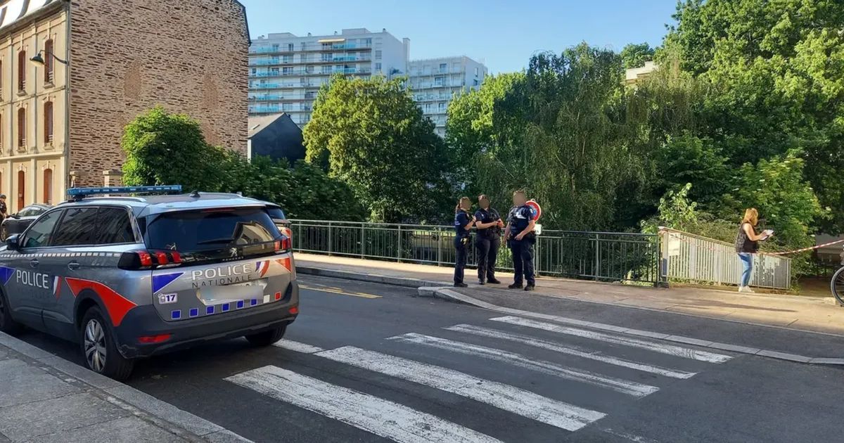 Rennes : deux adolescents accusés du meurtre tragique de Théo, 11 ans