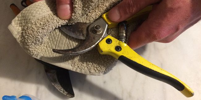 Comment entretenir son sécateur ?
