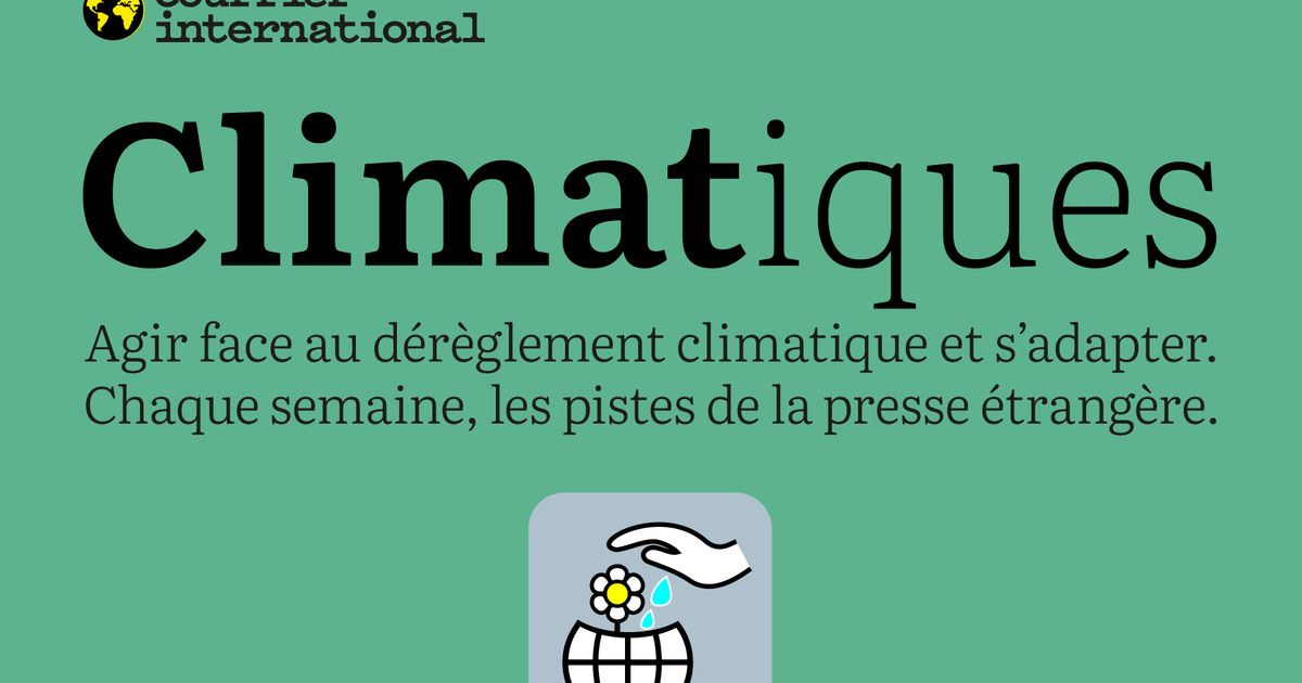 La vague de chaleur surprenante : s'habituer à un climat en mutation
