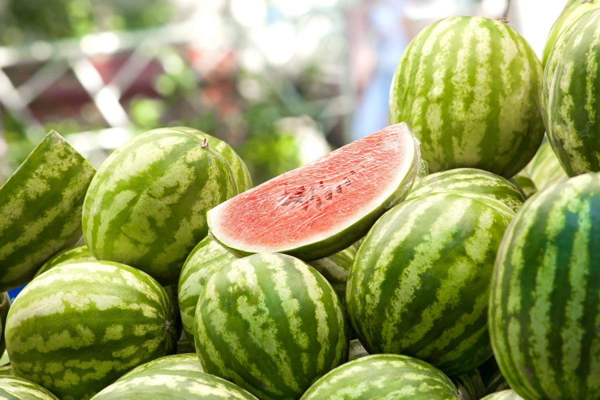 un primeur révèle l'astuce infaillible pour choisir une pastèque bien mûre
