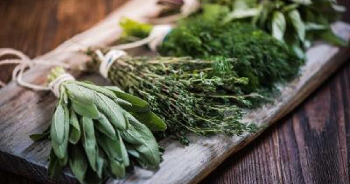 La méthode facile pour sécher vos herbes fraîches au micro-ondes