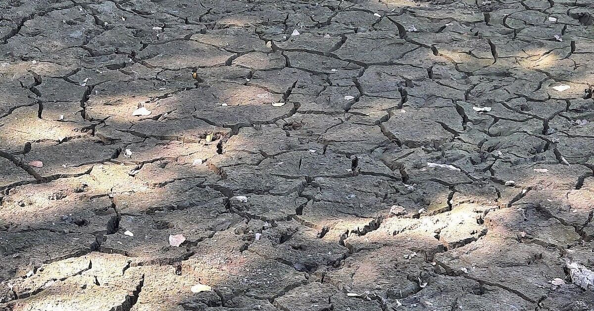 Sécheresse : l'alerte rouge en Seine-Maritime convoque la mobilisation générale