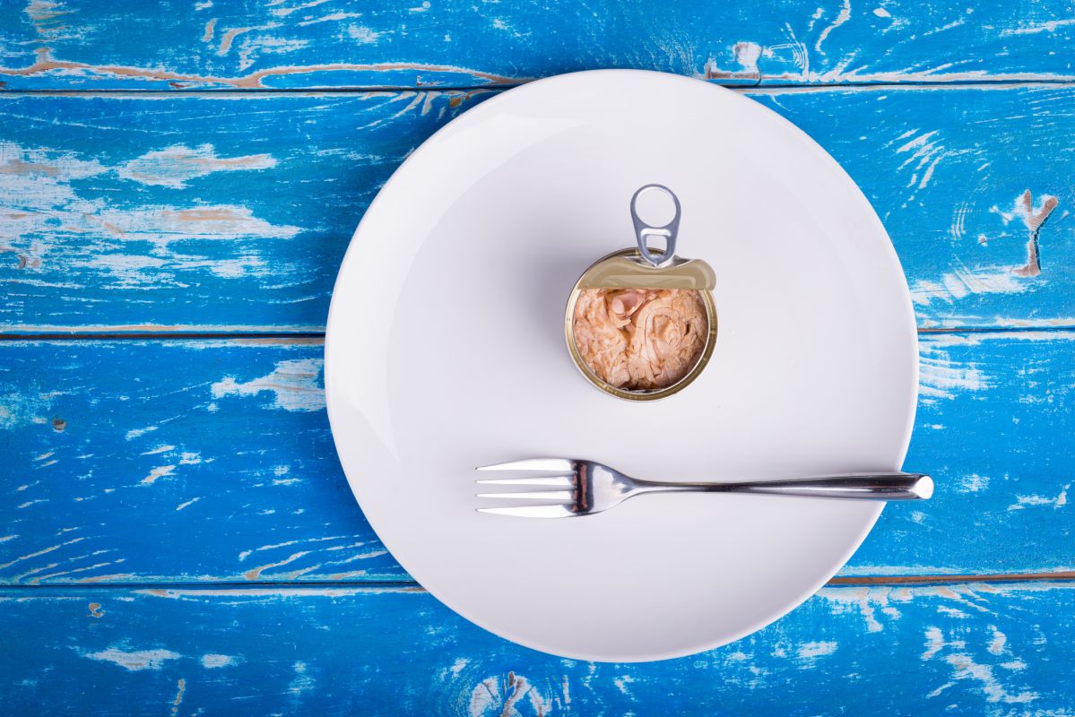 découvrez comment cuisiner le thon en boîte avec ces 8 recettes délicieuses