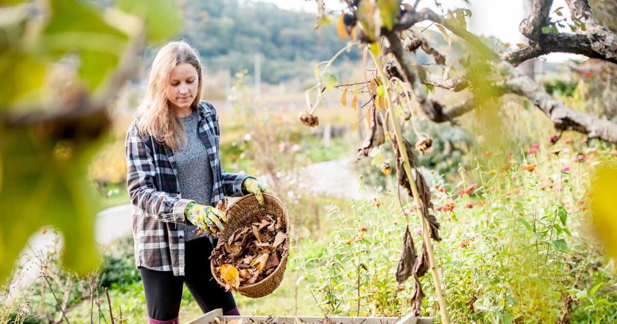 Déchets verts : des solutions pratiques pour un jardin propre
