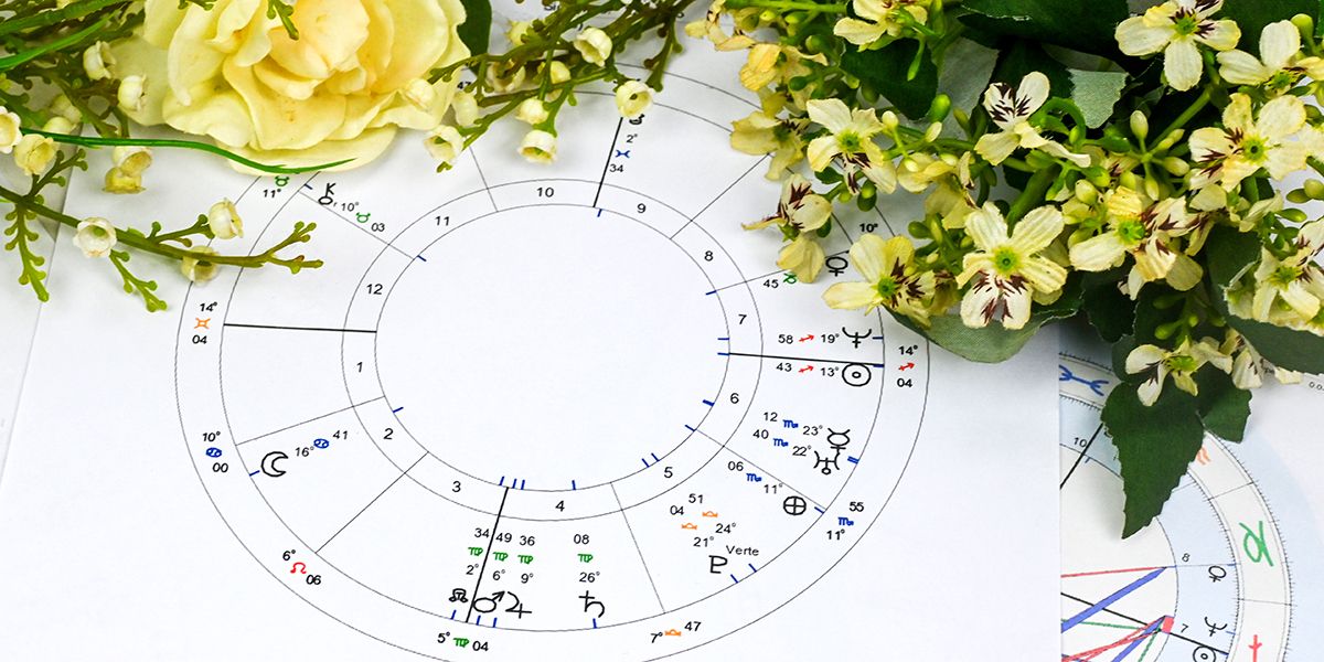Astrologie florale : découvrez le lien entre les signes du zodiaque et les fleurs