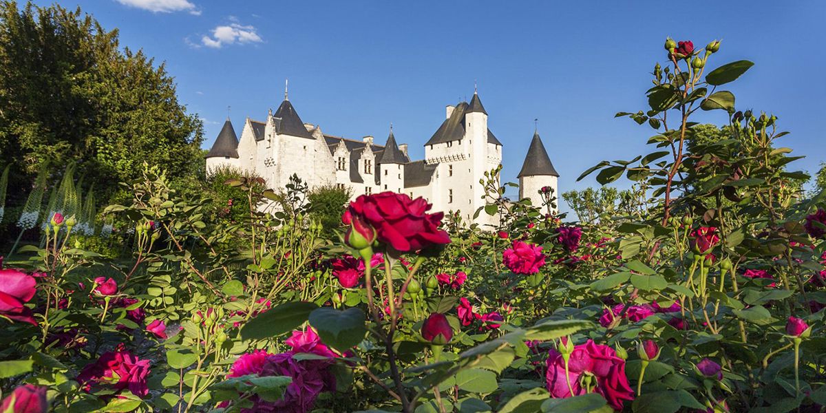 À la découverte des jardins enchantés du château du Rivau
