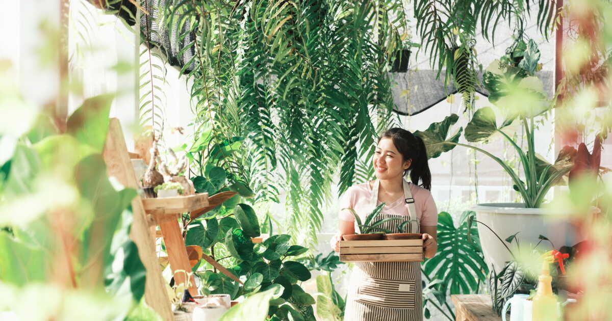 20 plantes vertes qui peuvent être cultivées aussi bien à l’intérieur qu’à l’extérieur