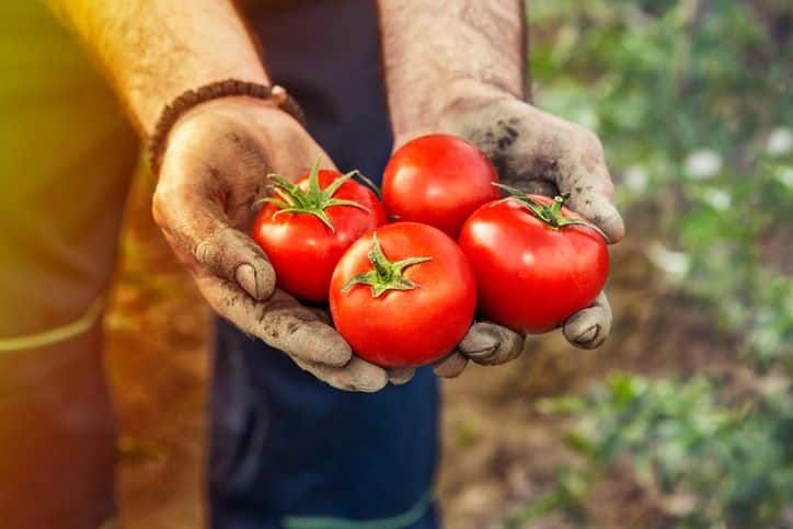 Séduisant septembre : comment embellir votre jardin cet automne