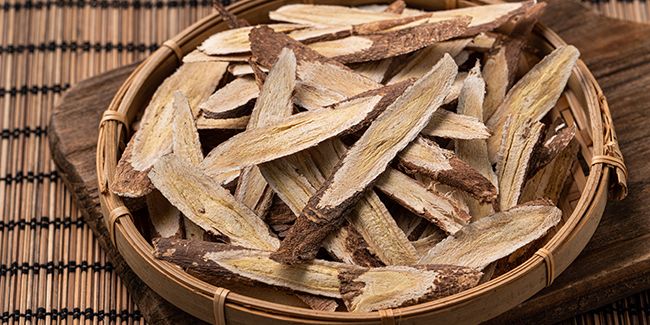 L'astragale : un stimulant naturel pour votre immunité